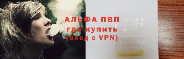 стаф Алексин