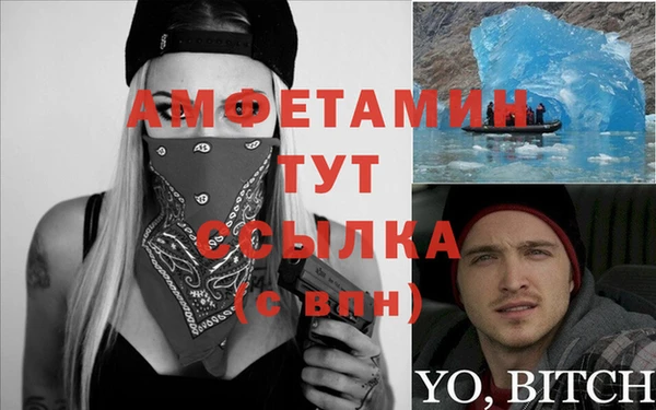 стаф Алексин
