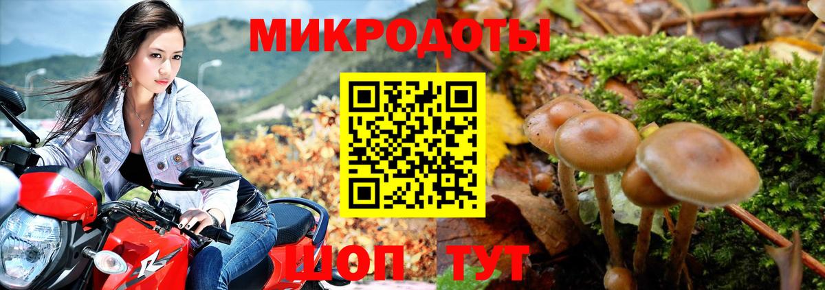 Псилоцибиновые грибы мицелий Углич